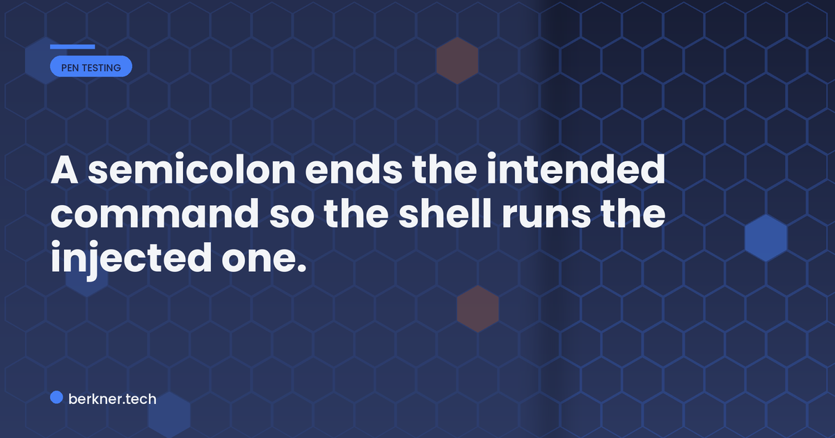 Anatomy of a command injection payload using a shell separator to run an extra command